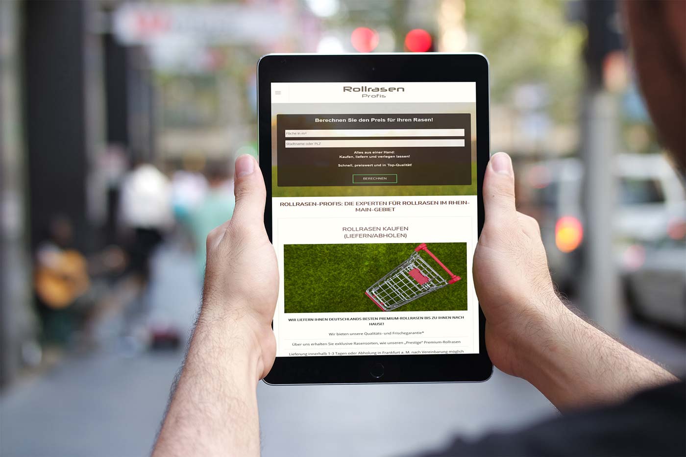 Webdesign und Suchmaschinenoptimierung für Neu-Isenburg - Webranking Referenz Rollrasen Profis GmbH webdesign neu isenburg rollrasen profis gmbh 02