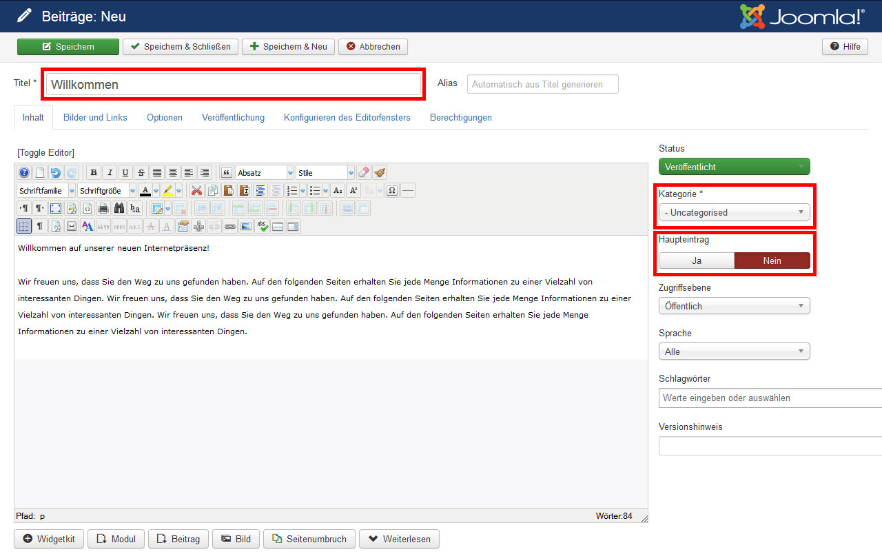 webdesign suchmaschinenoptimierung pflichtfelder3